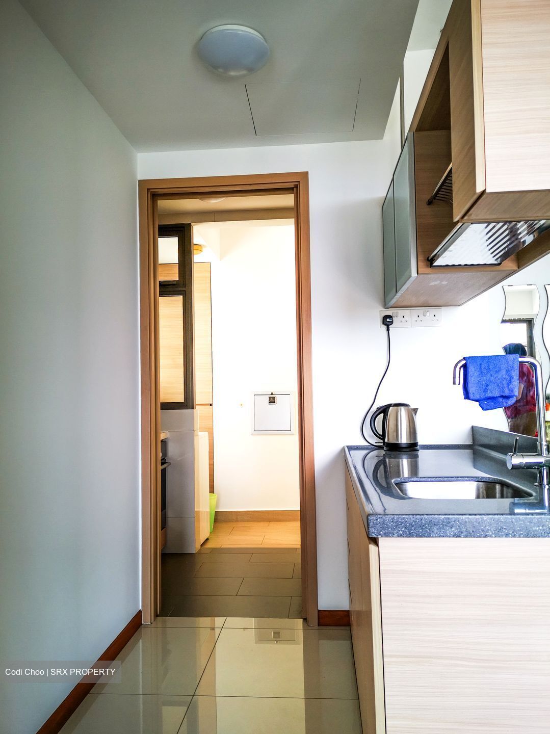 Parc Vera (D19), Condominium #445410781